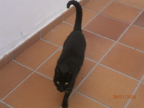 塔布塞公寓主图