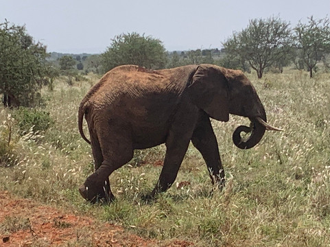 Azmina Tours & Safaris - Sheriffo-马林地必去景点