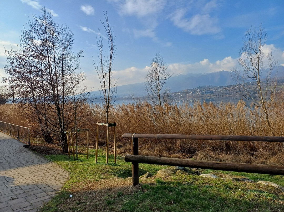 Lungolago Gianni Brera-Bosisio Parini必去景点