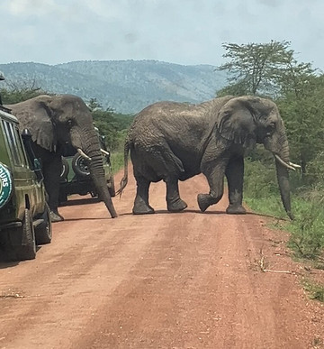 Rwanda Treasure Tours-Kinigi必去景点