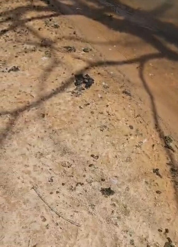 Village Resort主图