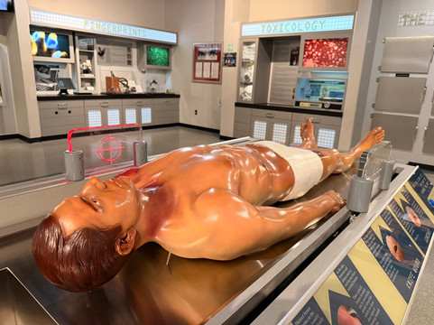 Alcatraz East Crime Museum-皮金福奇必去景点