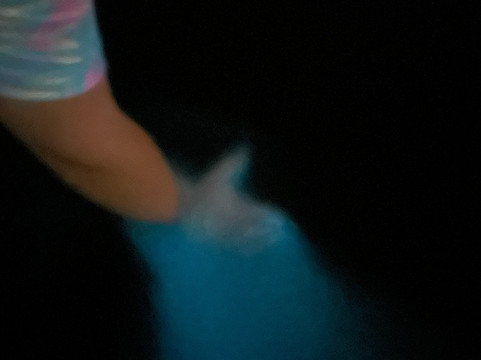 BioIsland-Cabezas必去景点