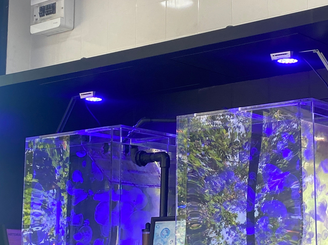 Marine Biological Center - Hyatt Regency Phuket Resort-卡图必去景点