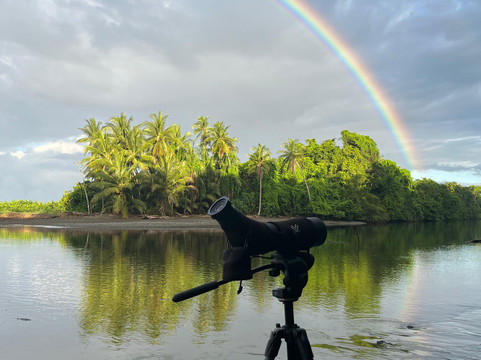 Osa Viva Tours-Puerto Jimenes必去景点