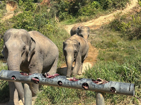 Chang Chill-Mae Win必去景点