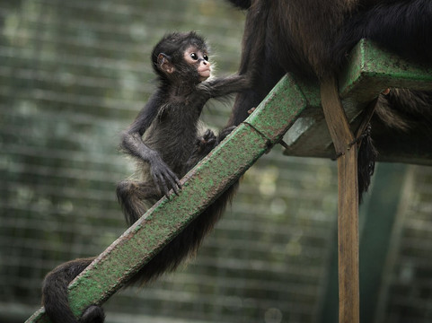 Yumká-Villahermosa必去景点