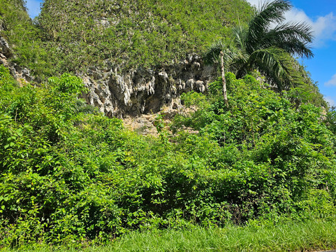 Authentic Tour Delivery-维纳勒斯必去景点