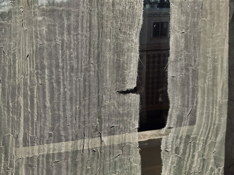 The General Morgan Inn主图