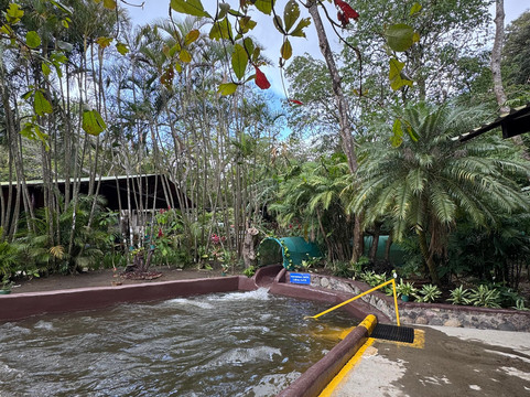 Rincon De La Vieja Volcano-Curubande必去景点