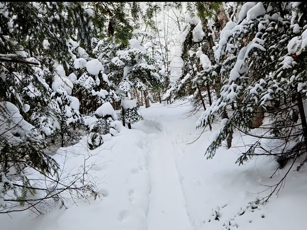 Parc regional de la Foret Ouareau-Notre-Dame-de-la-Merci必去景点