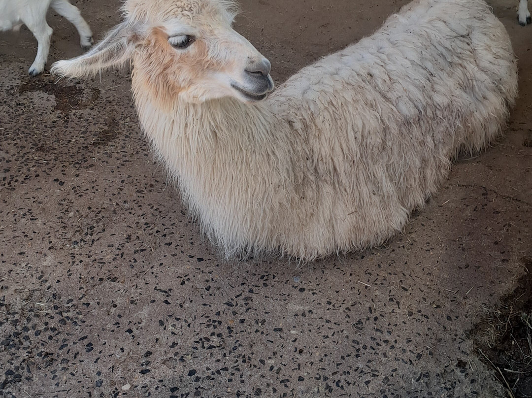 Fazendinha Zoomix-Franca必去景点