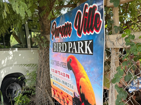 Parotte Ville Bird Sanctuary-圣马丁岛必去景点