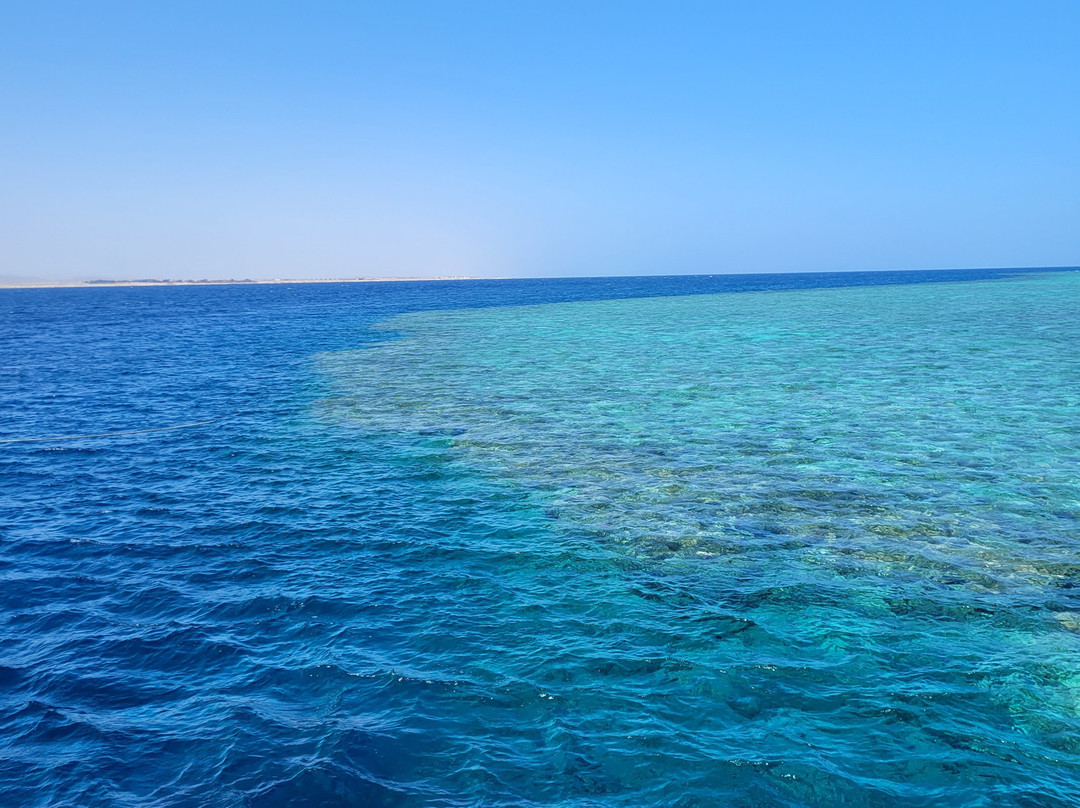 ORCA Dive Club Wadi Lahmy-马萨阿拉姆必去景点