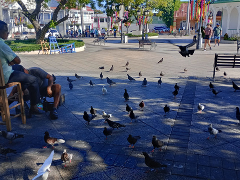 Parque Central Independencia-普拉塔港必去景点