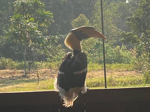 Cardamom Mountains-戈公必去景点