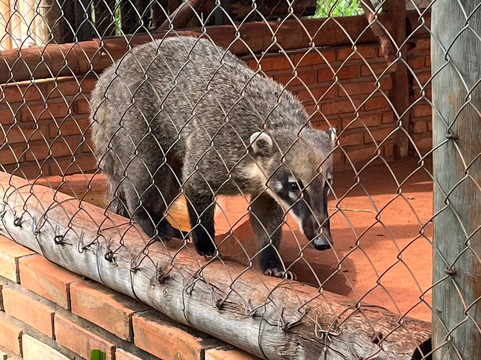 Bio Park-博尼图必去景点
