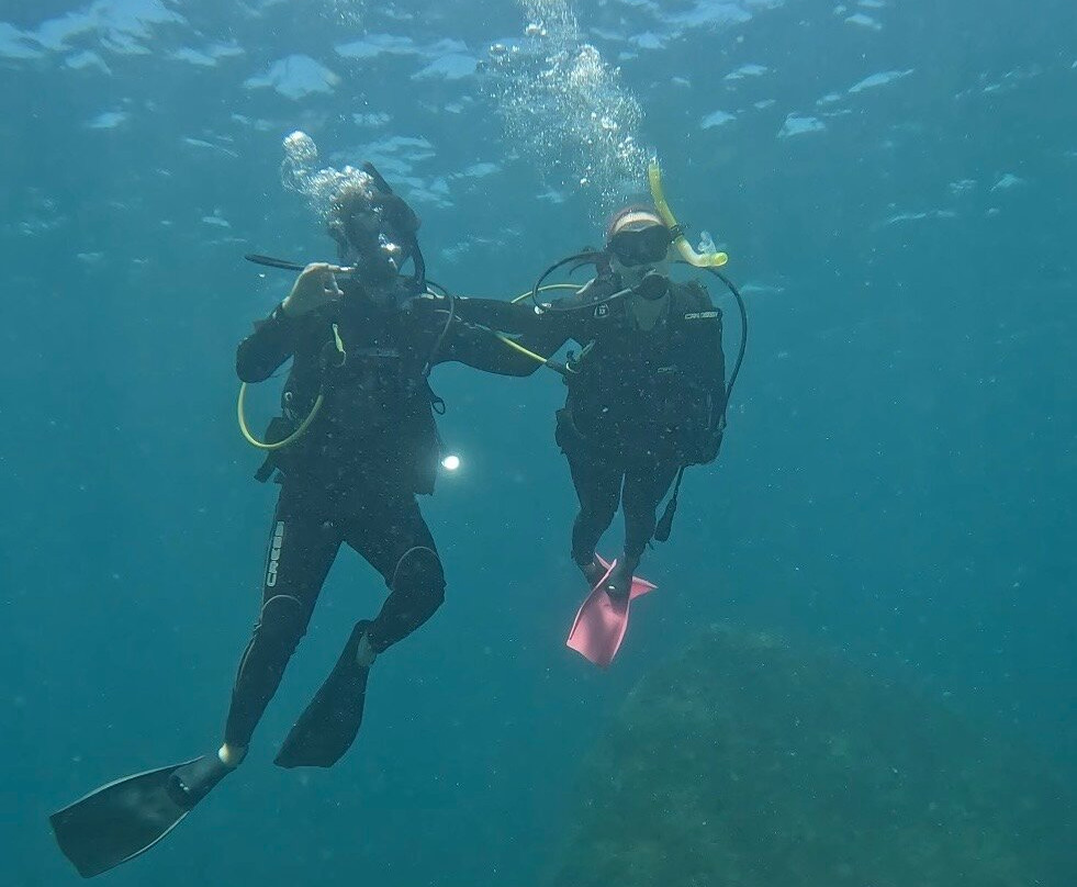 Oceano Sub Mergulho Ilhabela-伊利亚贝拉必去景点