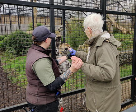 The Big Cat Sanctuary-Smarden必去景点