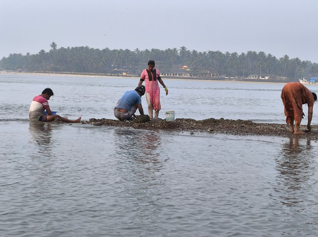 尼克瑞纳桑三水主图