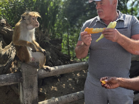 Rangi Tours-瓦都瓦必去景点