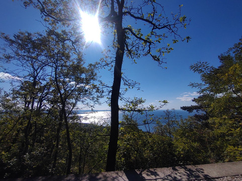 Strada Vicentina-的里雅斯特必去景点