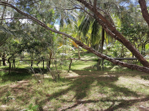 Luecille Beach-Lifou必去景点