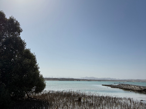 Marsa Alam Tours-马萨阿拉姆必去景点