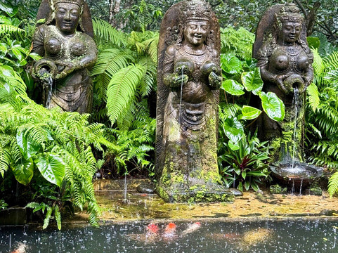 Lovina Transport Bali 007-罗威那海滩必去景点