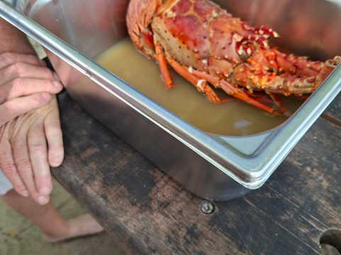 Mangrov La Ka-Port-Louis必去景点