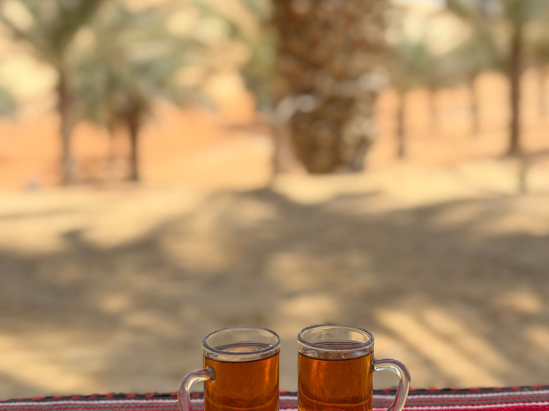 Liwa Desert Safari - Extreme Tourism-阿布扎比必去景点