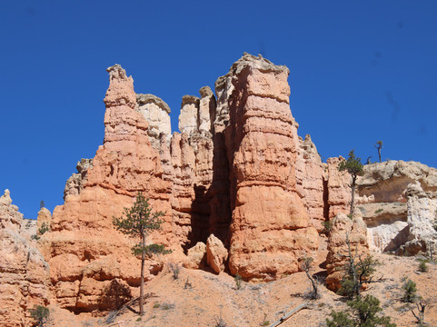 Mossy Cave Trail-布莱斯峡谷国家公园必去景点