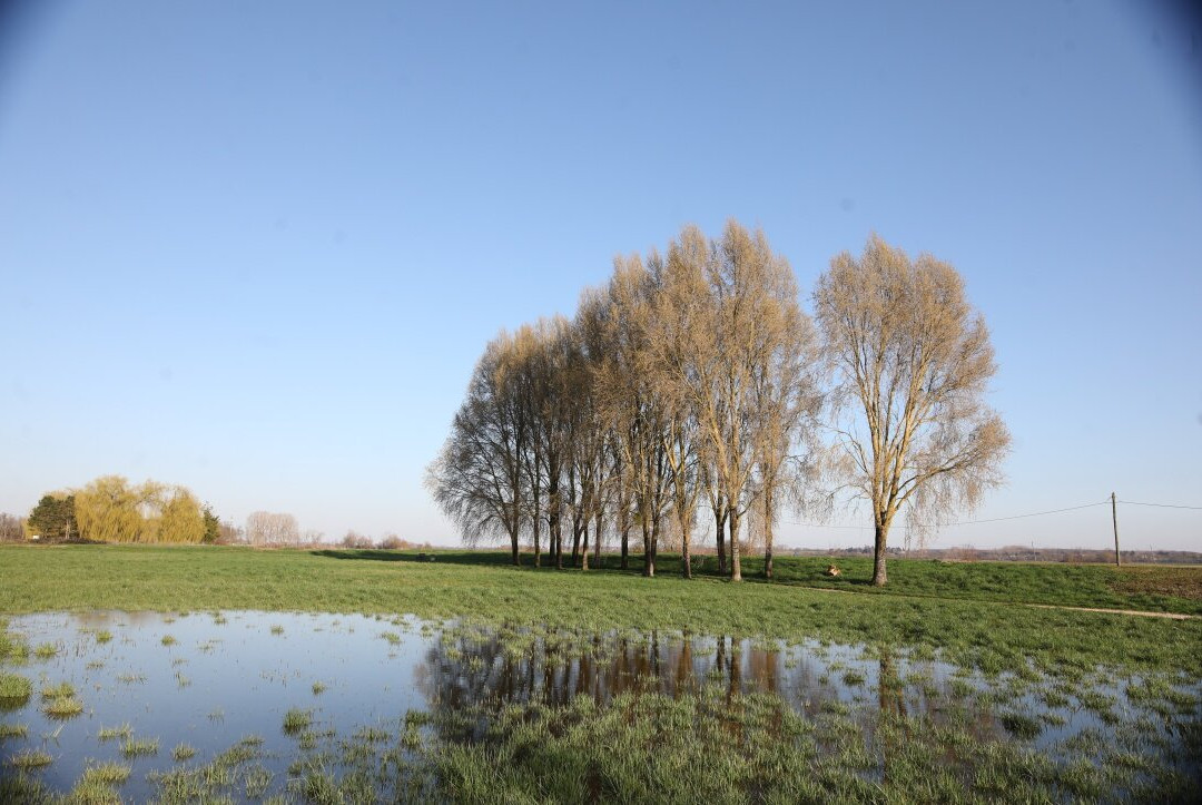 Le Lac de Crissey-Crissey必去景点