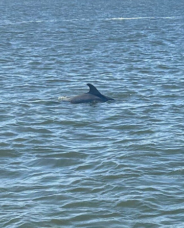 Good Natured River Tours-墨尔本必去景点