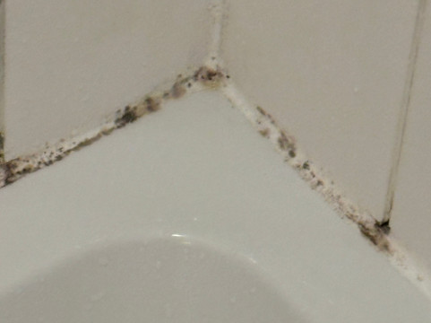 威灵顿公爵酒店主图