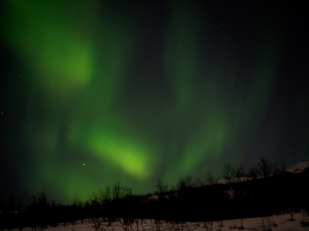 特罗姆瑟极光体验之旅-特罗姆瑟必去景点