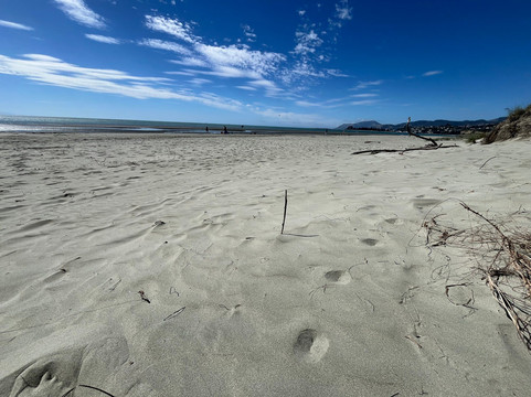 塔胡纳努伊海滩-尼尔森必去景点