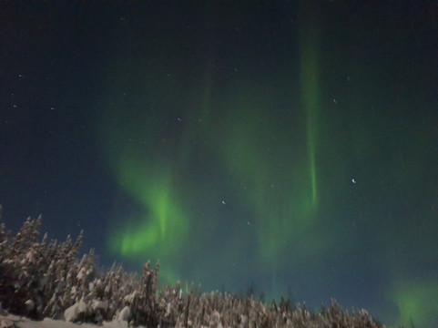 Aufeis Eatery & Tavern + Aurora Viewing-费尔班克斯必去景点