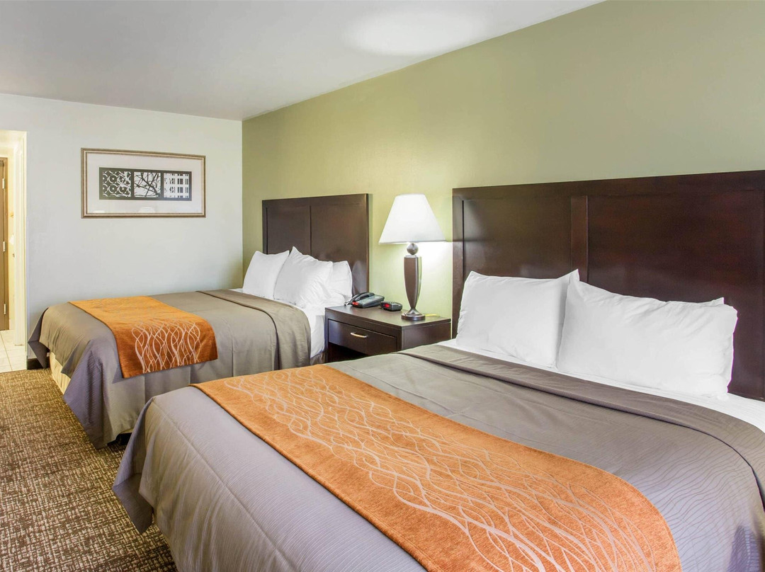 College Grove酒店住宿-Comfort Inn Franklin Highway 96