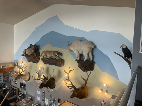 Grande Cache Tourism and Interpretive Centre-大卡什必去景点