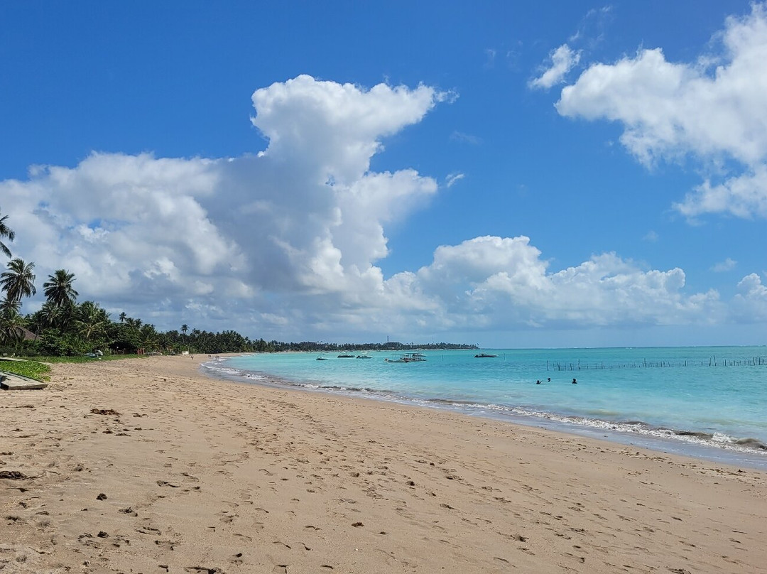 Praia Ponta de Mangue-Maragogi必去景点