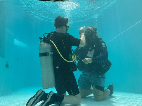 Flamingo Diving Bonaire-Belnem必去景点