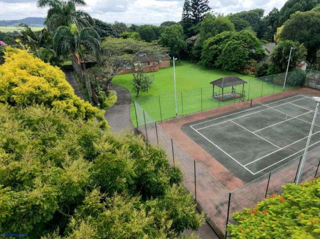 天堂鸟家庭旅馆主图