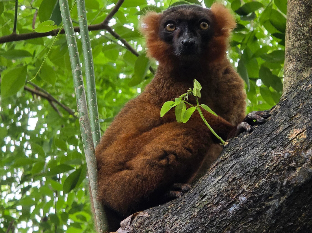 Zamilane-Toamasina (Tamatave)必去景点