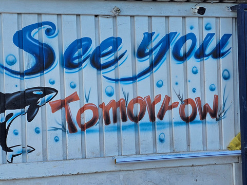 Orca Dive Club Safaga-Safaga必去景点