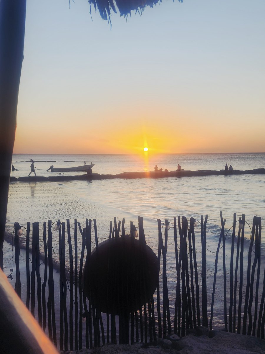 Beachfront Hotel La Palapa-官方