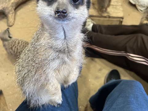 Wigfield Farm-巴恩斯利必去景点