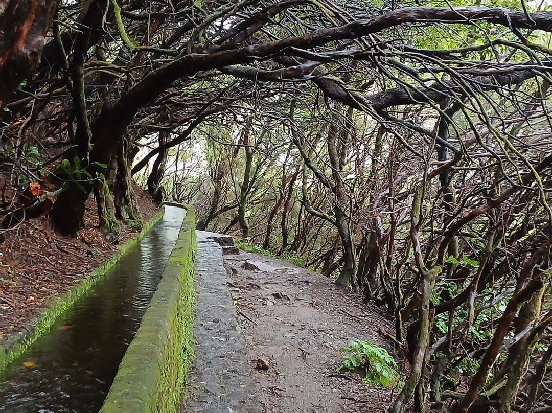 Madeira Free Spirit walks-沙尔必去景点