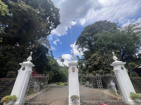 Royal Botanic Gardens Peradeniya-康提必去景点