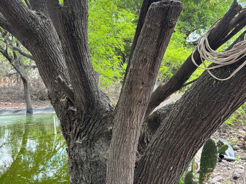 Rancho San Josemaría-克雷塔罗必去景点